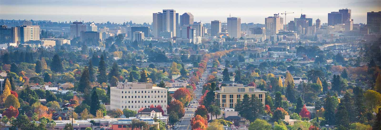 Aerial view of a major street in Oakland surrounded by trees, homes, and commercial buildings. Taller buildings are visible in the background.